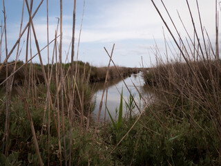 canal del delta del ebro 