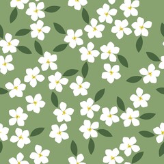 Seamless vintage pattern. White flowers, green leaves. Light green background. vector texture. fashionable print for textiles, wallpaper and packaging.