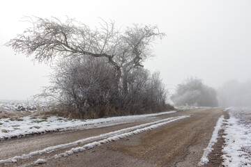 Obraz na płótnie Canvas Winter road 2