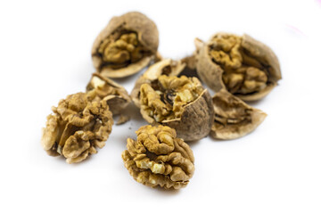  isolated image of walnuts on white background