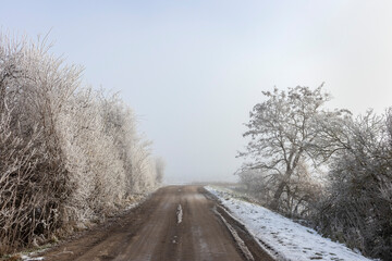 Obraz na płótnie Canvas Winter road