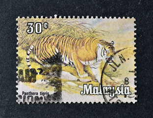 Cancelled postage stamp printed by Malaysia, that shows Tiger (Panthera tigris), circa 1979.