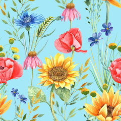 Sunflowers summer seamless pattern. Wild flowers.  Isolated elements on a white background. Hand painted in watercolor. 