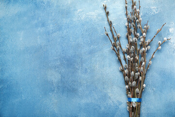 Bouquet of pussy willow branches on color background