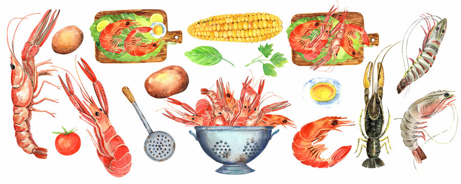 Watercolor seafood. Crawfish Boil, Shrimps, Seafood Fish, Kitchen Watercolor Illustration, printable poster.  Isolated element on a white background. Hand painted in watercolor.
