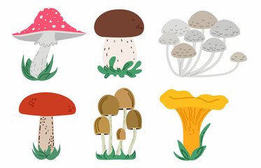 Plakat set of different cartoon mushrooms isolated on white background. Elements for design