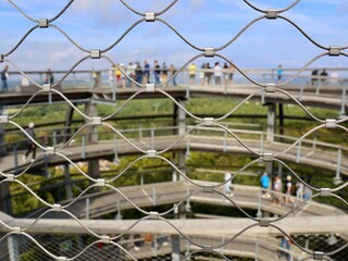 Baumwipfelfpad in Binz, Mecklenburg-Vorpommern