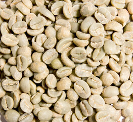 Chicchi di caffè bianchi