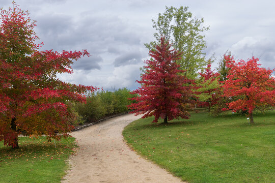 Weg durch einen Garten mit bunten B&auml;umen im Herbst