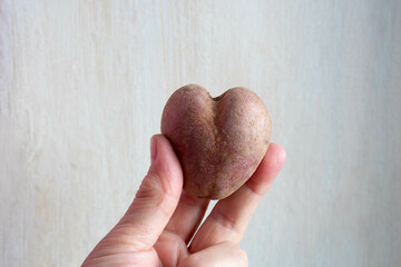 Ugly potato in the heart shape in hands on a gray concrete background. Funny, unnormal vegetable or...