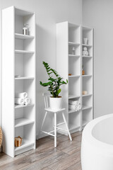 White shelving units and houseplant near light wall in bathroom