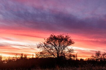 Fototapeta na wymiar Tree silhouette colourful sunset clouds