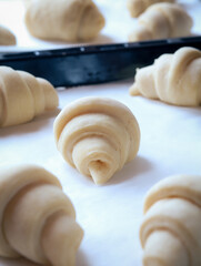 Close up of layered of a fluffy leavened uncooked traditional French croissants dough roll on baking tray over paper sheet. A preparation step before cook in oven