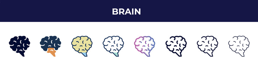 brain icon in 8 styles. line, filled, glyph, thin outline, colorful, stroke and gradient styles, brain vector sign. symbol, logo illustration. different style icons set.