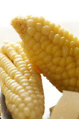 Choclo con queso a typical ecuadorian appetizer that consists of corncob accompanied by fresh cheese. It’s on a white background. 