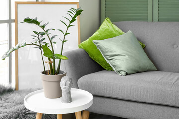 Coffee table with houseplant and decor in light living room