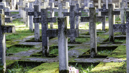 Graves with crosses