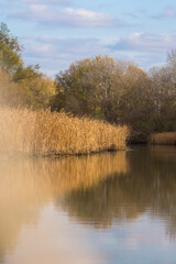 Fototapeta na wymiar Beautiful autumn day on Tisza lake in Hungary