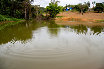 Peaceful landscape with quiet lake in rural setting and little blue house in the background