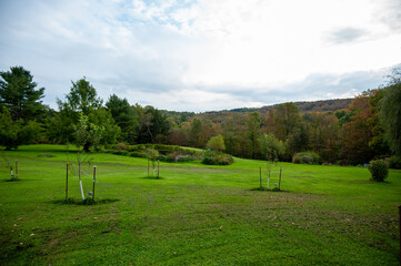 landscape with trees and clouds