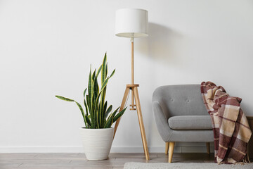 Soft armchair with plaid, standing lamp and houseplant near light wall