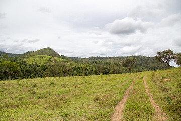 Fototapeta premium Brazilian tropical rural landscape in a panoramic scene with a dirt road in the middle of the fields