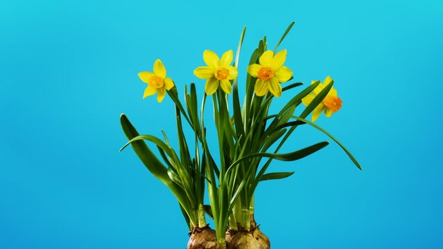 Spring minimal concept background