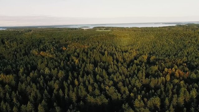 Aerial over forest and lake in the horizon.