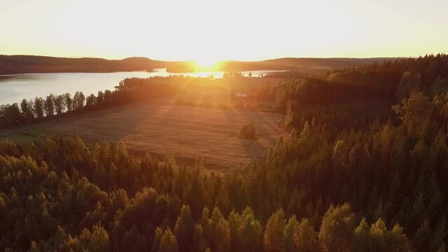 Beautiful sunset over wheat field, lake and forest.
