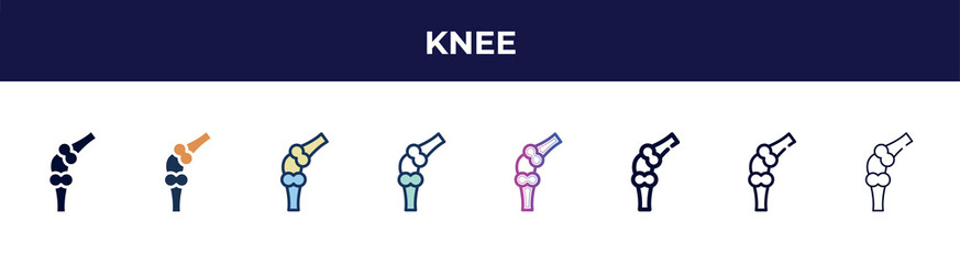 knee icon in 8 styles. line, filled, glyph, thin outline, colorful, stroke and gradient styles, knee vector sign. symbol, logo illustration. different style icons set.