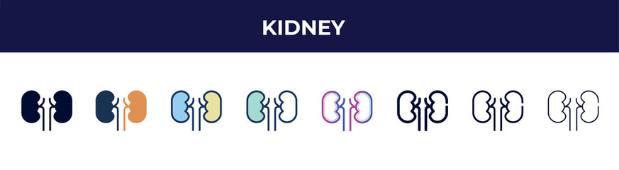 kidney icon in 8 styles. line, filled, glyph, thin outline, colorful, stroke and gradient styles, kidney vector sign. symbol, logo illustration. different style icons set.