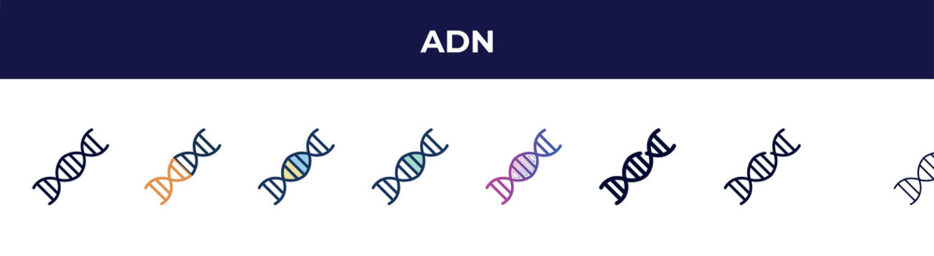 adn icon in 8 styles. line, filled, glyph, thin outline, colorful, stroke and gradient styles, adn vector sign. symbol, logo illustration. different style icons set.