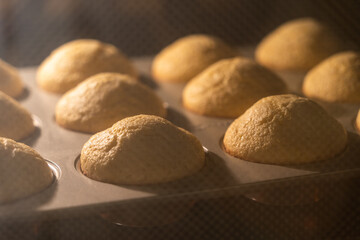 muffins on the oven