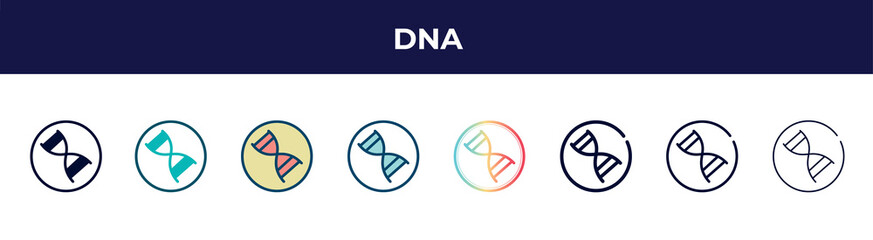 dna icon in 8 styles. line, filled, glyph, thin outline, colorful, stroke and gradient styles, dna vector sign. symbol, logo illustration. different style icons set.