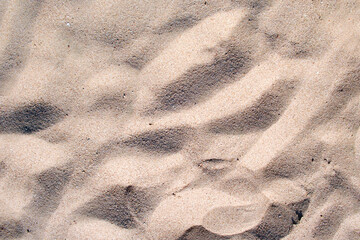 Flat view of clean yellow sand surface covering seaside beach. Sandy texture