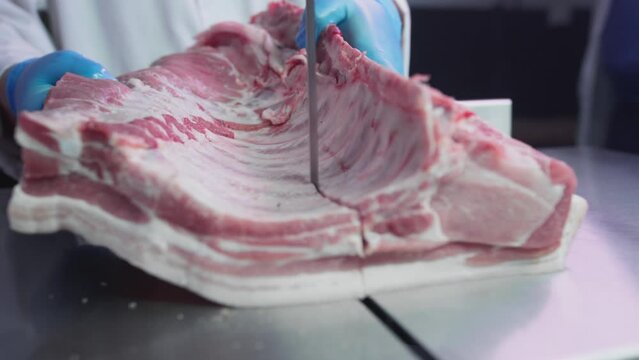 Industrial processing of meat. A man cook cuts a piece of tenderloin in a butcher's shop on a machine with a band saw. Ribeye or marbled beef. Ground meat production for restaurants, slaughterhouse