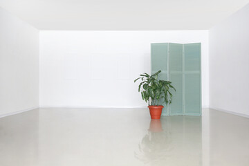 View of empty room with folding screen and houseplant