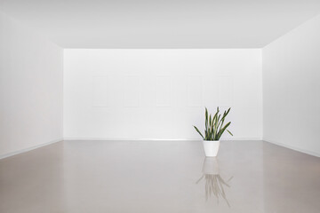 View of empty room with houseplant