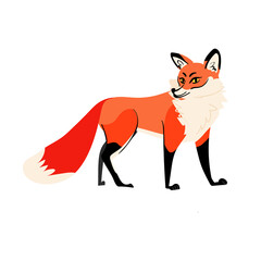 Cute red fox isolated on white background. Cute animal character flat vector illustration