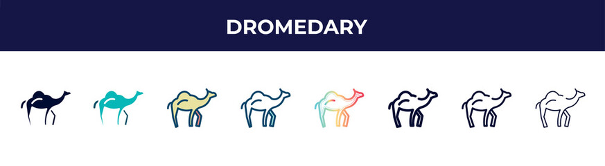 dromedary icon in 8 styles. line, filled, glyph, thin outline, colorful, stroke and gradient styles, dromedary vector sign. symbol, logo illustration. different style icons set.