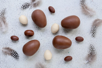 Composition with Easter eggs and feathers on light background