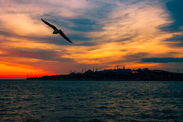 Fototapeta na wymiar Istanbul background. Cityscape of Istanbul at sunset with dramatic clouds and a seagull. Noise included.