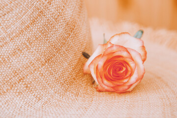 Beautiful straw hat with with ragged edges rose flower, still life