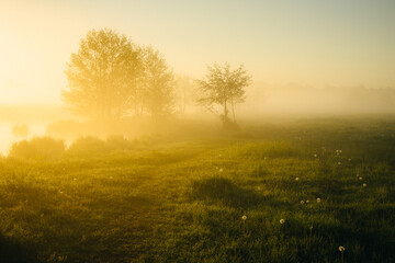 Fototapeta na wymiar misty morning sunrise