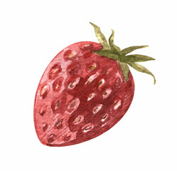 Watercolor vector strawberries Clipart fresh ripe berry summer food. hand drawn illustration.