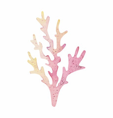 Sea animals set watercolor. Shell aquarium background. marine illustration, jellyfish, starfish.