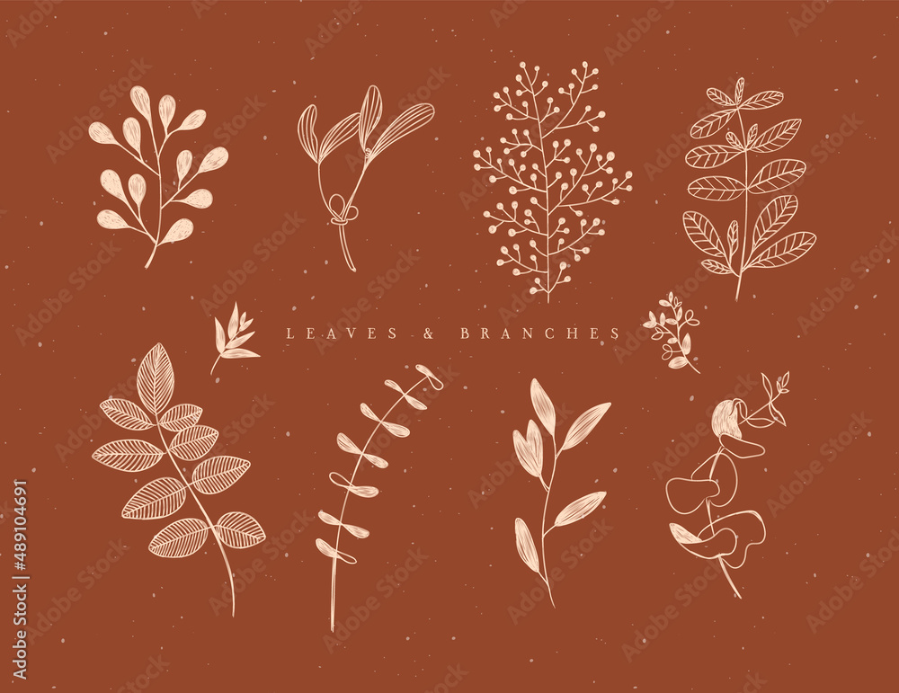 Wall mural Set of graphic leaves and branches in floral style drawing in beige color on brown background - Wall murals