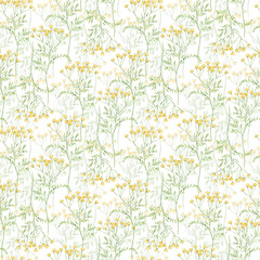 Watercolor botanical seamless pattern Delicate meadow wildflowers. Hand drawn tansy Floral print. For birthday card, invitation, happy easter, summer background, wrapping paper, wallpaper, textile.