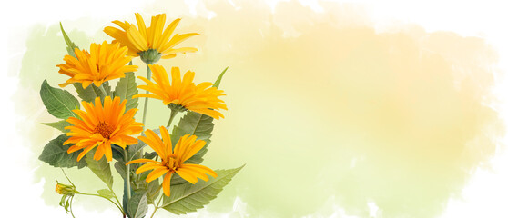 Bouquet of orange daisy-gerbera or sunflower on watercolor background. Red chamomile horizontal banner with copy space. Spring or summer blossom blooming. Field flower Jerusalem artichoke. Empty place