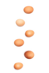 chicken eggs on a white background